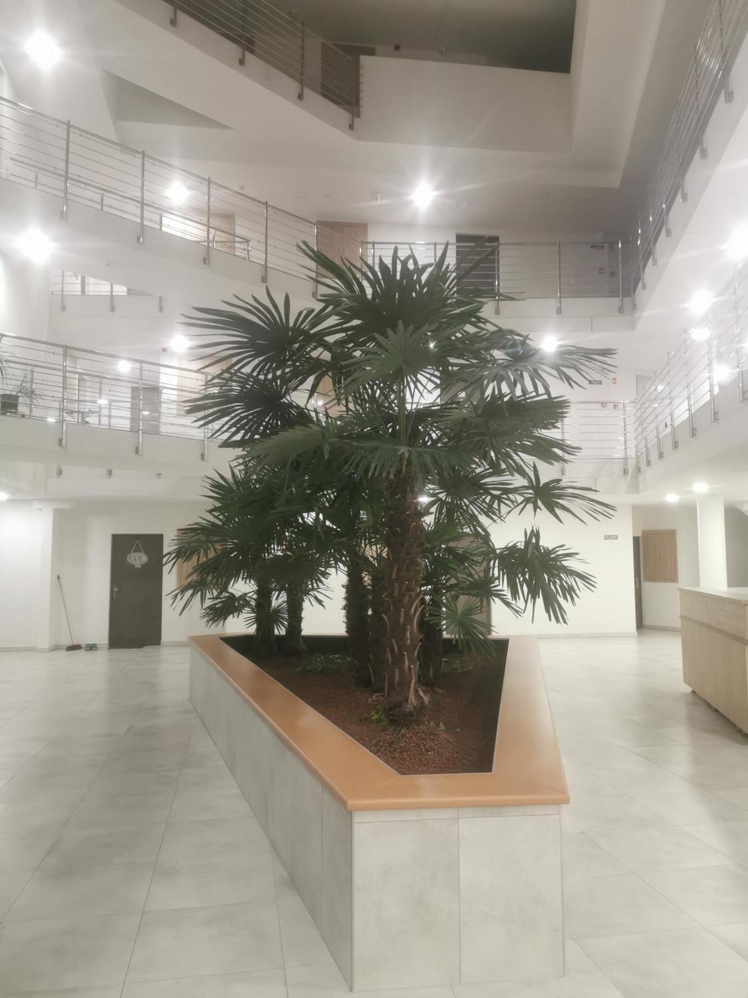 Beli Apartman Melygarazzsal Héviz Zewnętrze zdjęcie